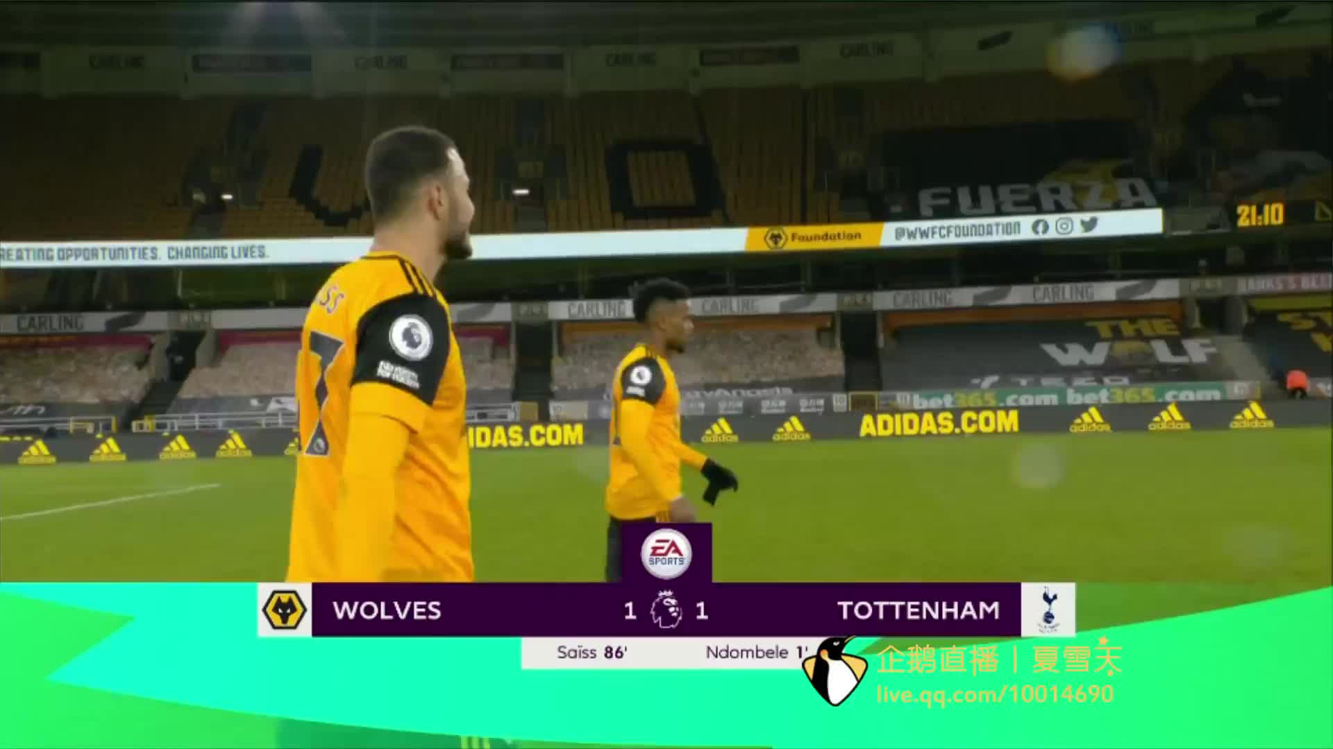 凯恩不仅仅 凯恩不仅仅